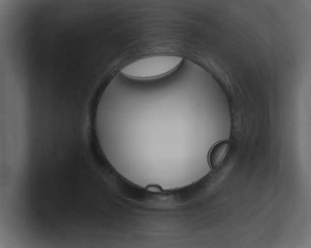 X0000101230260200806270951