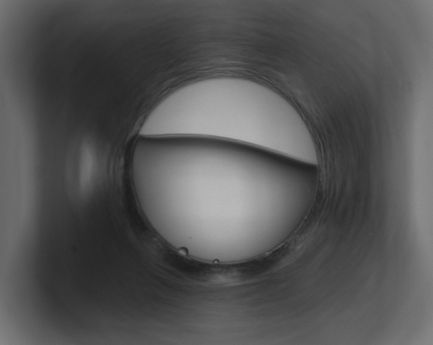 X0000101230263200806270951