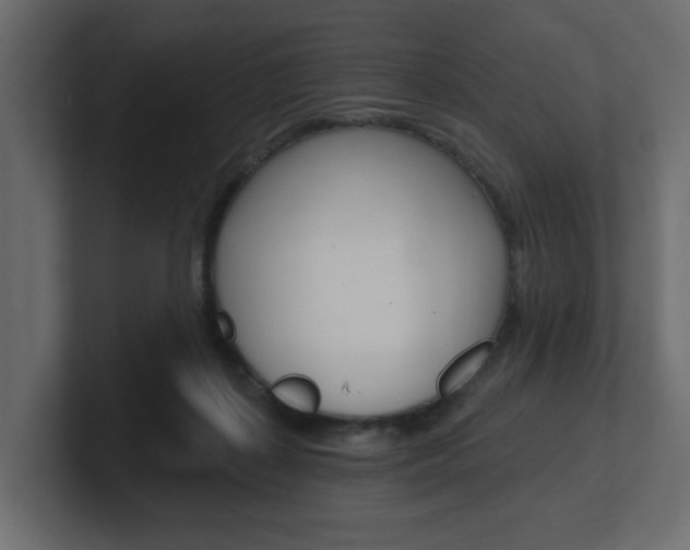 X0000101230267200806270951