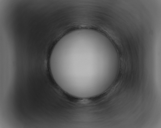 X0000101230269200806270951