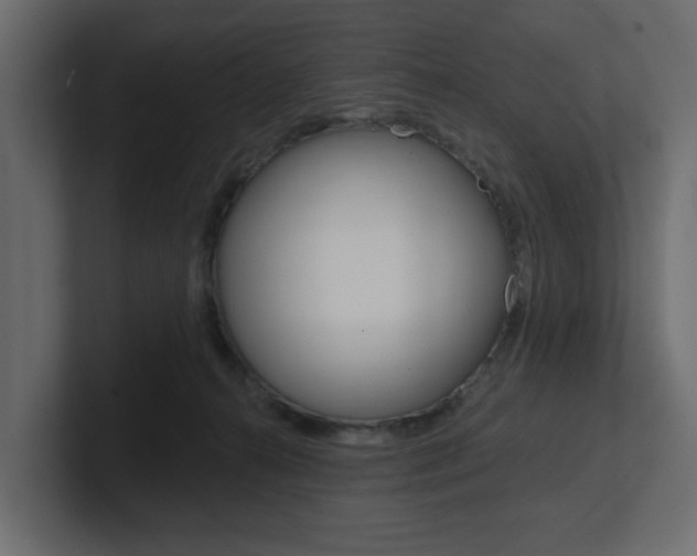 X0000101230272200806270952