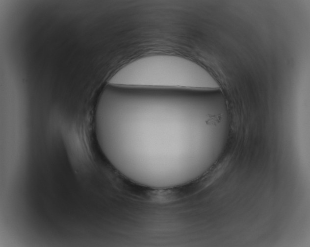 X0000101230273200806270952