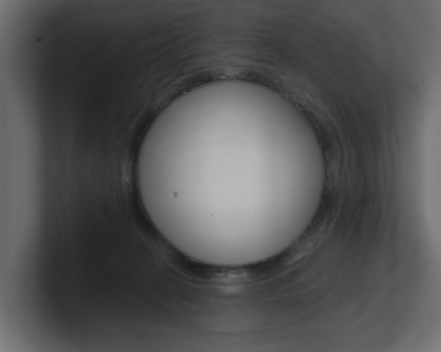 X0000101230274200806270952