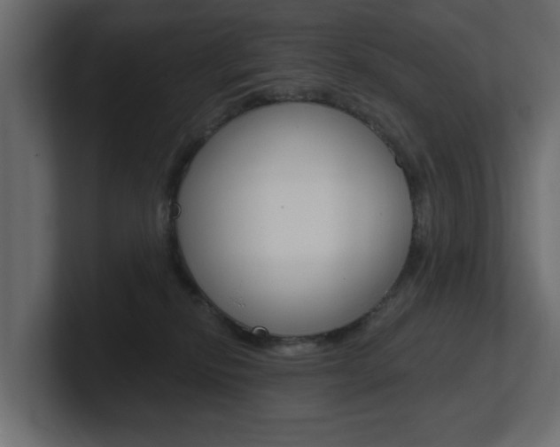 X0000101230278200806270952