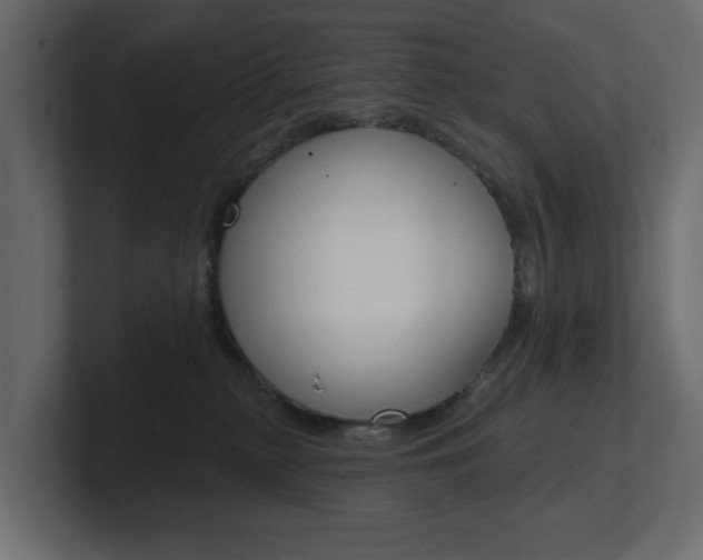 X0000101230279200806270952