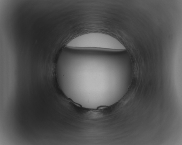X0000101230280200806270952