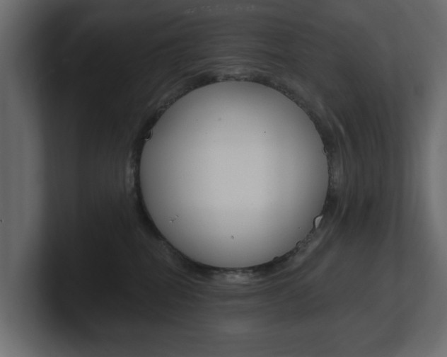 X0000101230282200806270952