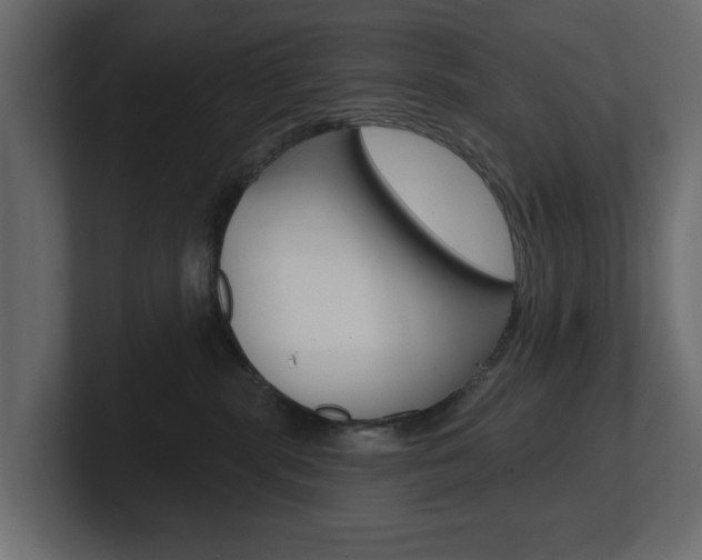 X0000101230283200806270952