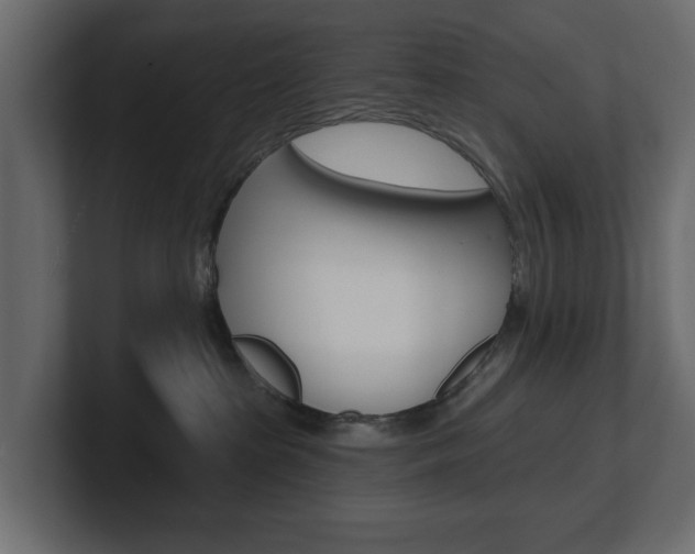 X0000101230285200806270952