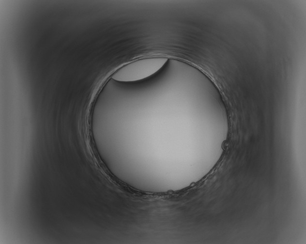 X0000101230289200806270951