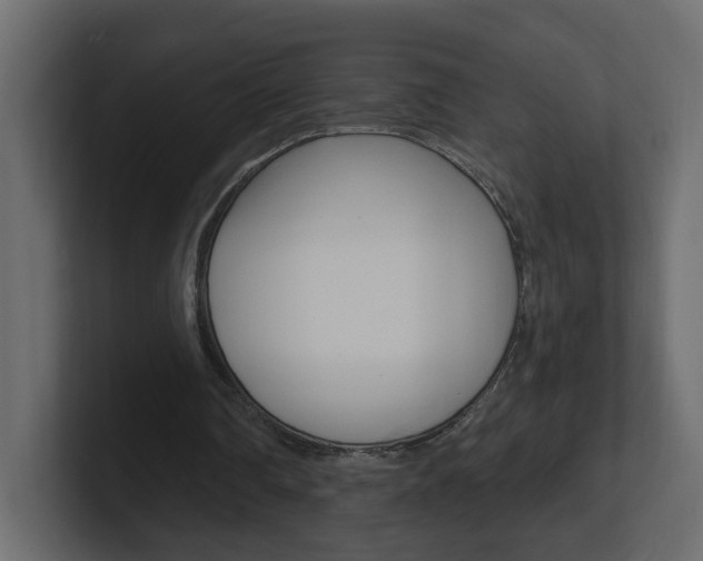 X0000101230290200806270951
