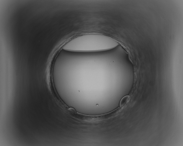X0000101230293200806270951