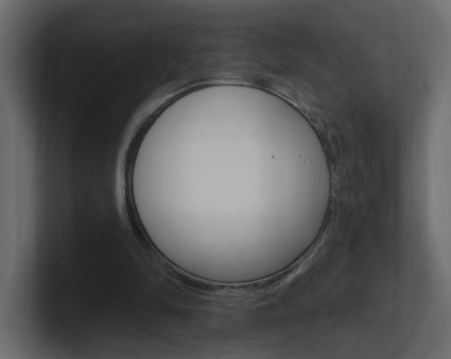 X0000101230294200806270951