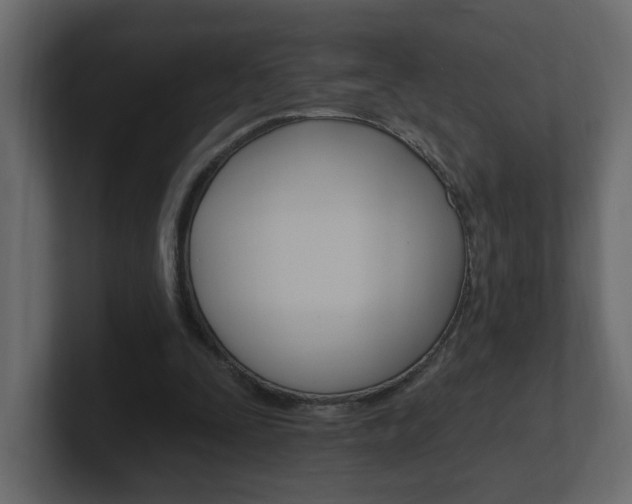 X0000101230295200806270951