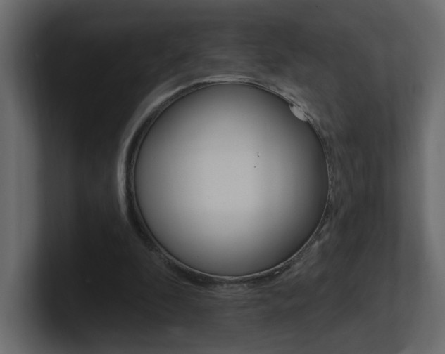 X0000101230296200806270951