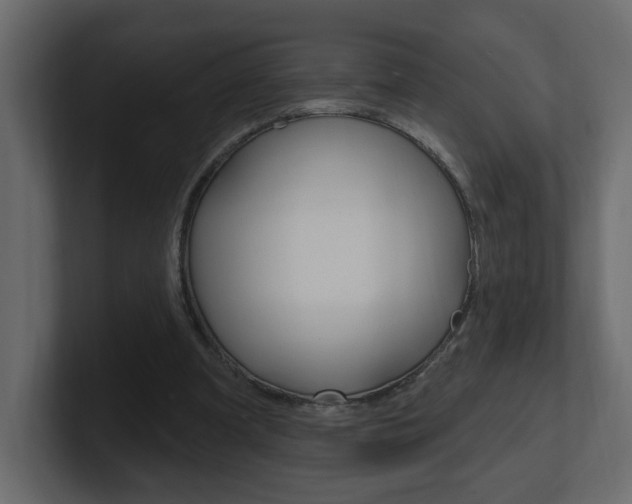 X0000101230297200806270951