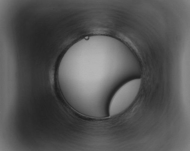 X0000101230299200806270951
