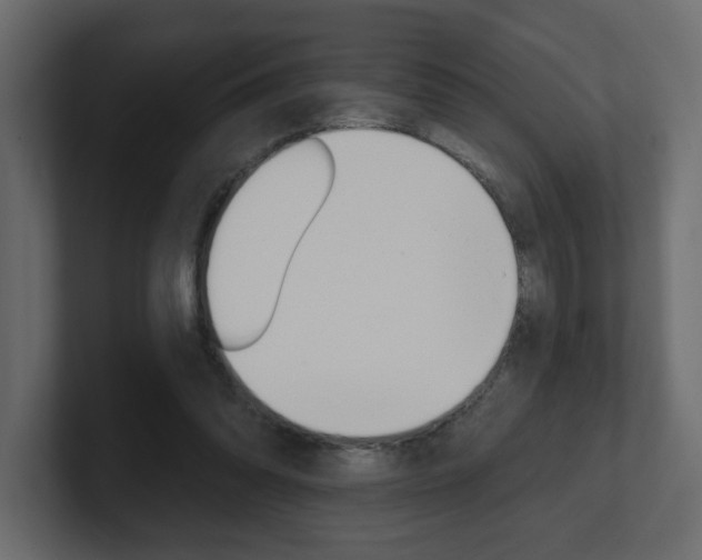 X0000101230302200806270951