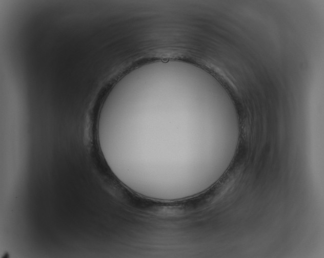 X0000101230303200806270951