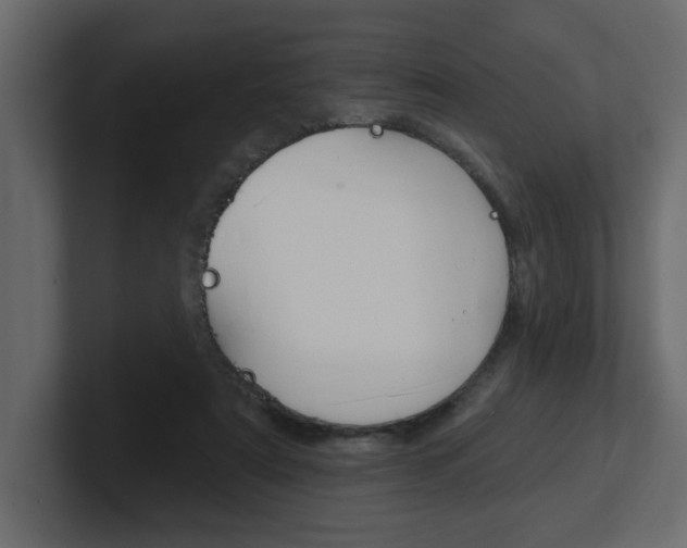 X0000101230307200806270951