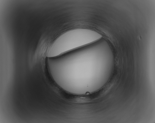 X0000101230315200806270951
