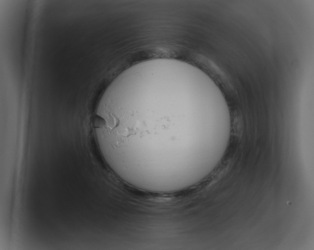 X0000101230318200806270951