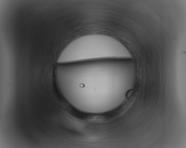 X0000101230319200806270951