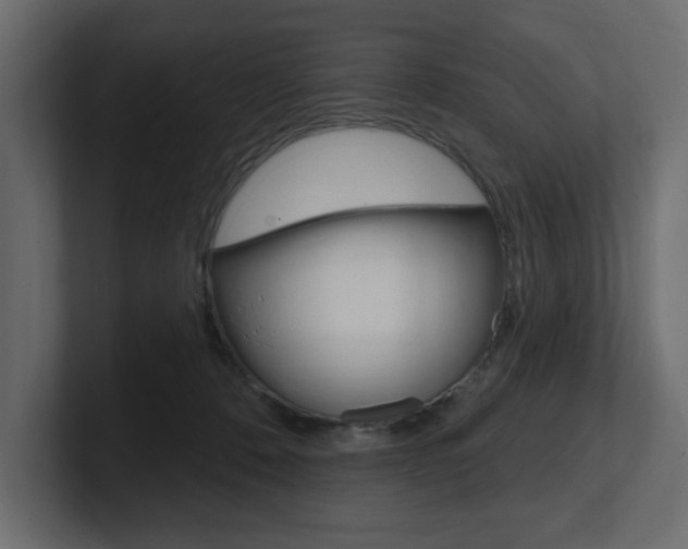 X0000101230320200806270951