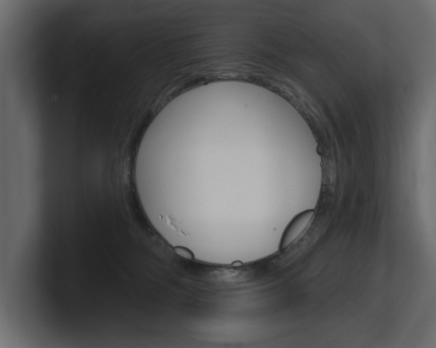X0000101230326200806270951