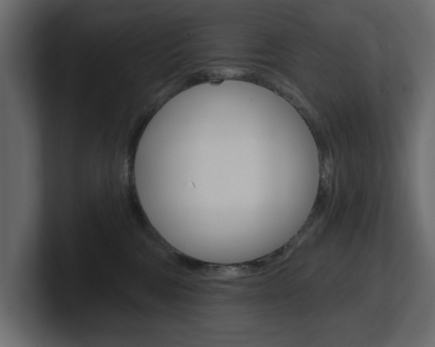 X0000101230330200806270951