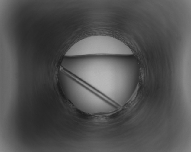 X0000101230332200806270951