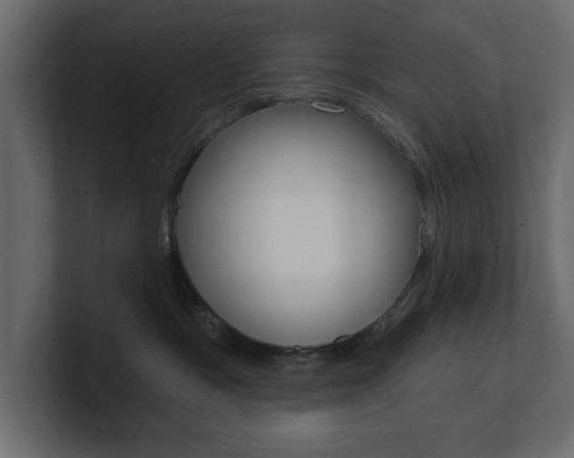 X0000101230333200806270951