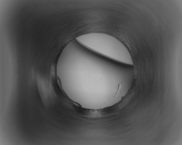 X0000101230335200806270951