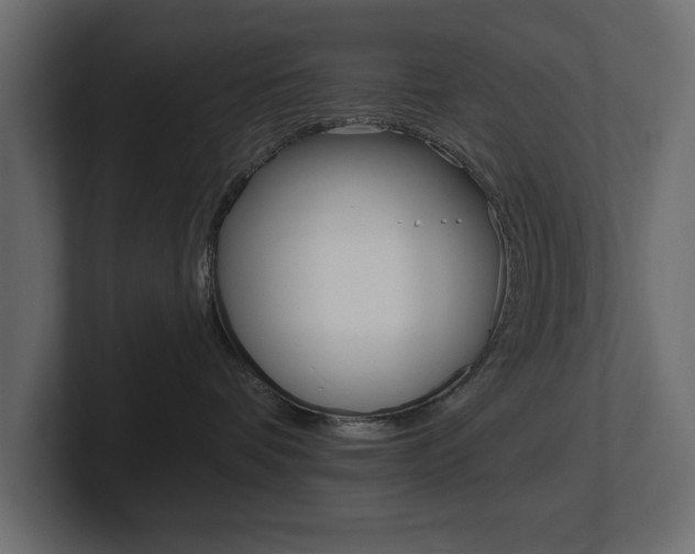 X0000101230336200806270950