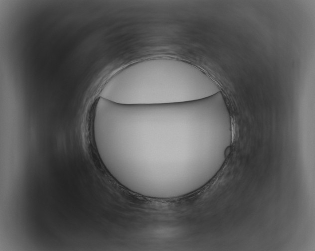 X0000101230339200806270950