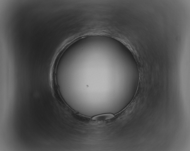 X0000101230340200806270950