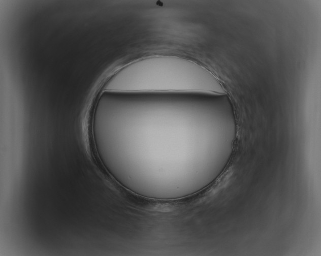 X0000101230341200806270950
