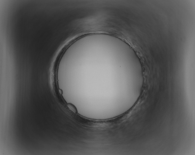 X0000101230342200806270950