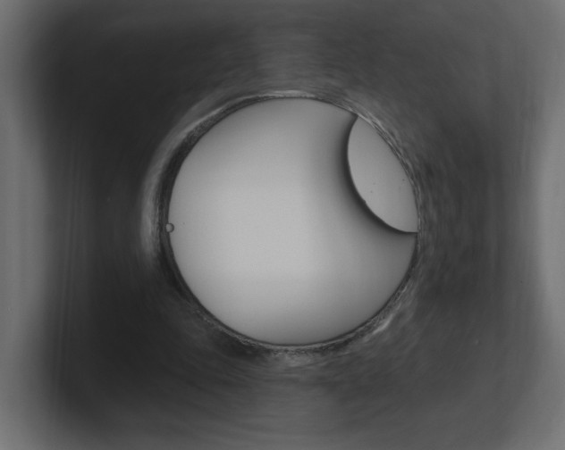 X0000101230343200806270950
