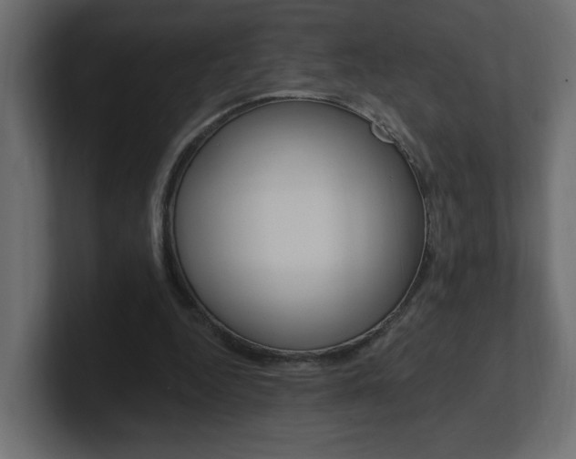 X0000101230344200806270950