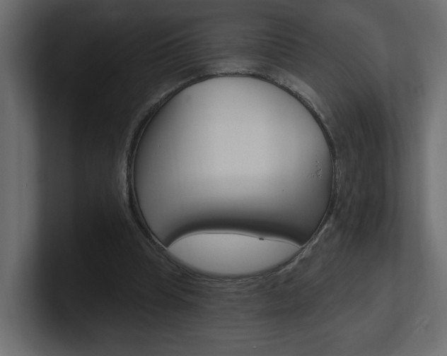 X0000101230345200806270950