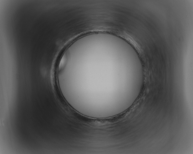 X0000101230346200806270950