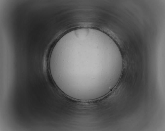 X0000101230347200806270950