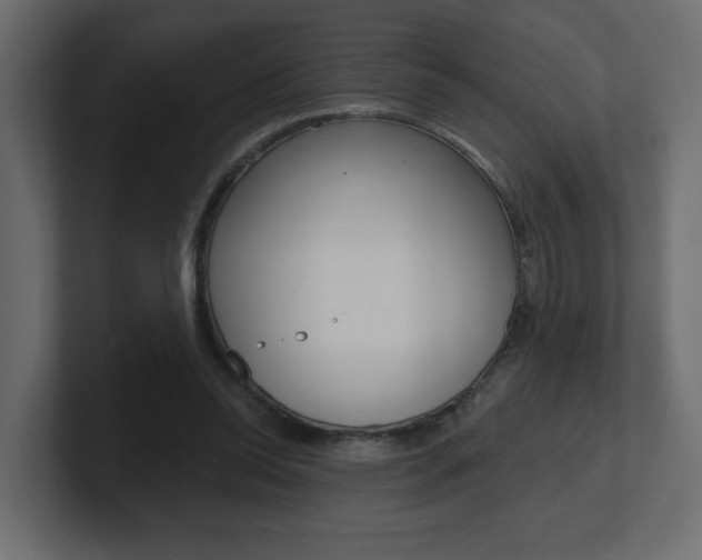 X0000101230350200806270950