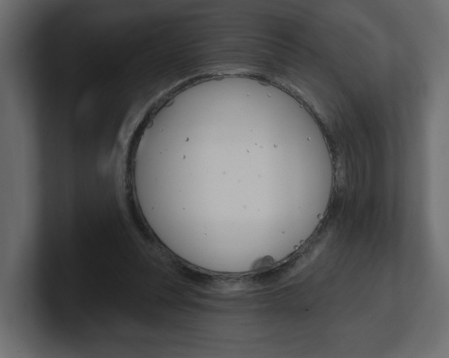 X0000101230351200806270950