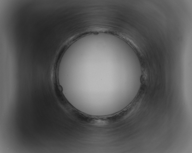 X0000101230352200806270950