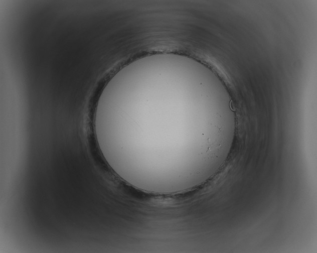 X0000101230354200806270950