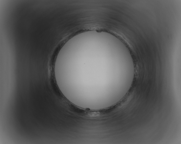 X0000101230355200806270950