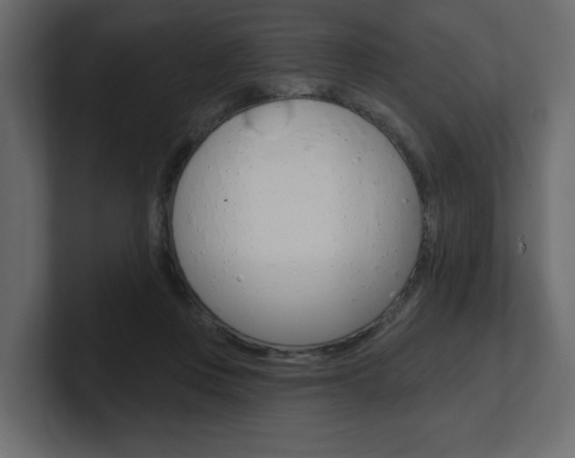 X0000101230359200806270950