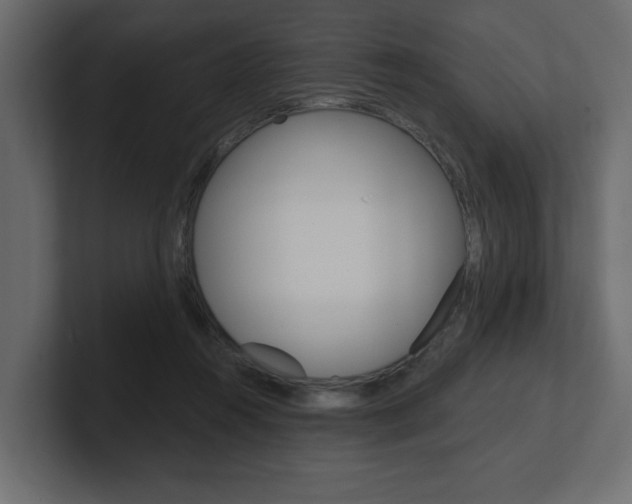 X0000101230360200806270950